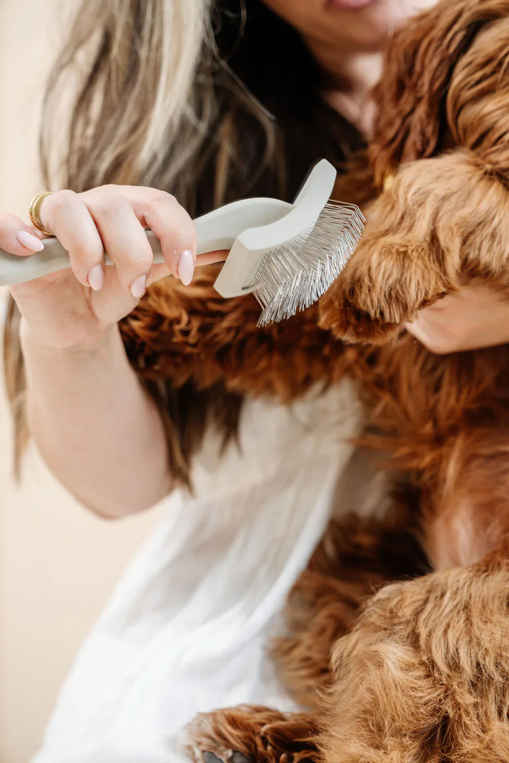 Everyday Slicker Brush for Dogs - Image 16