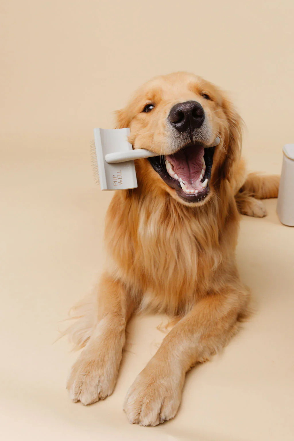 Everyday Slicker Brush for Dogs - Image 9