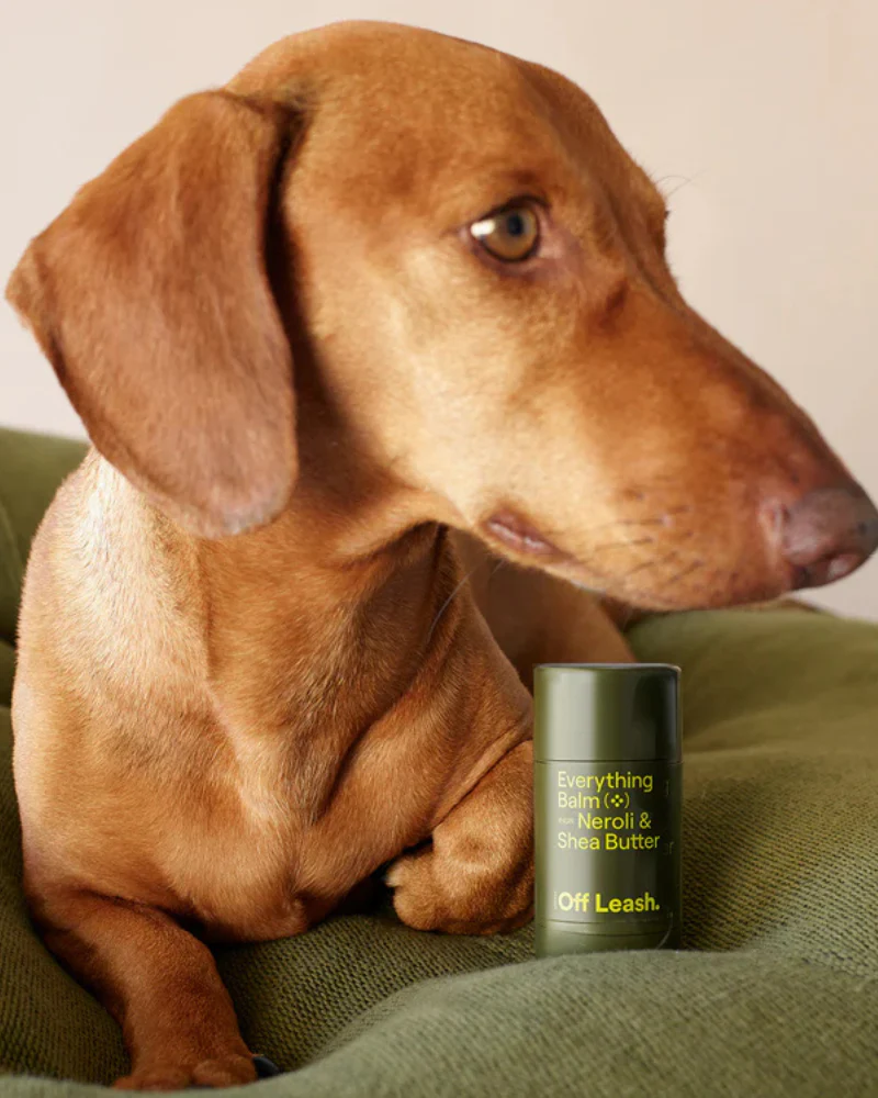 Everything Balm for Dogs - Image 3