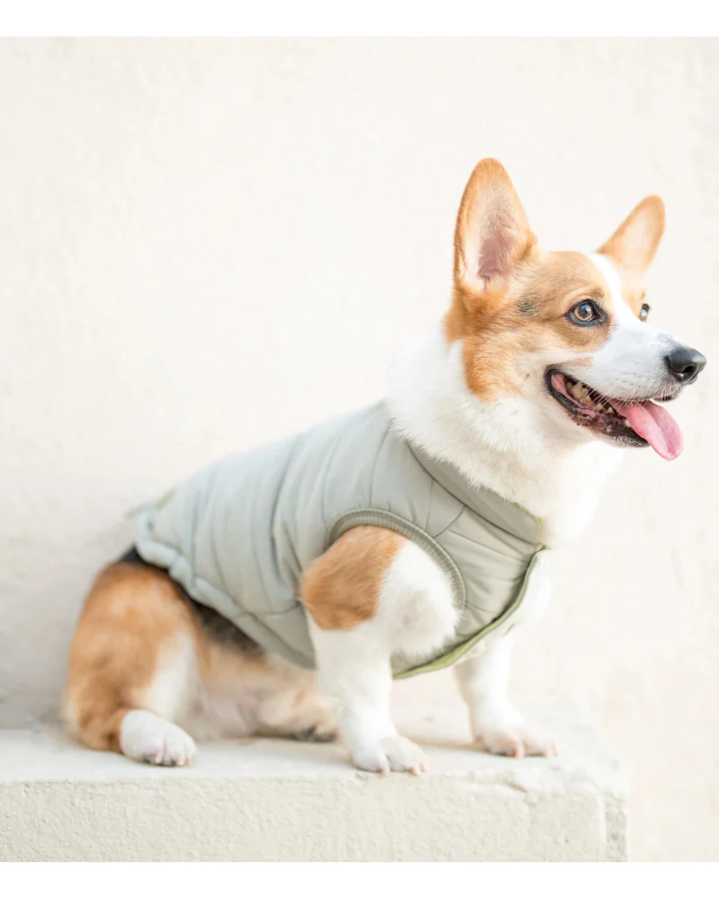 Explorer Dog Puffer Vest (FINAL SALE)