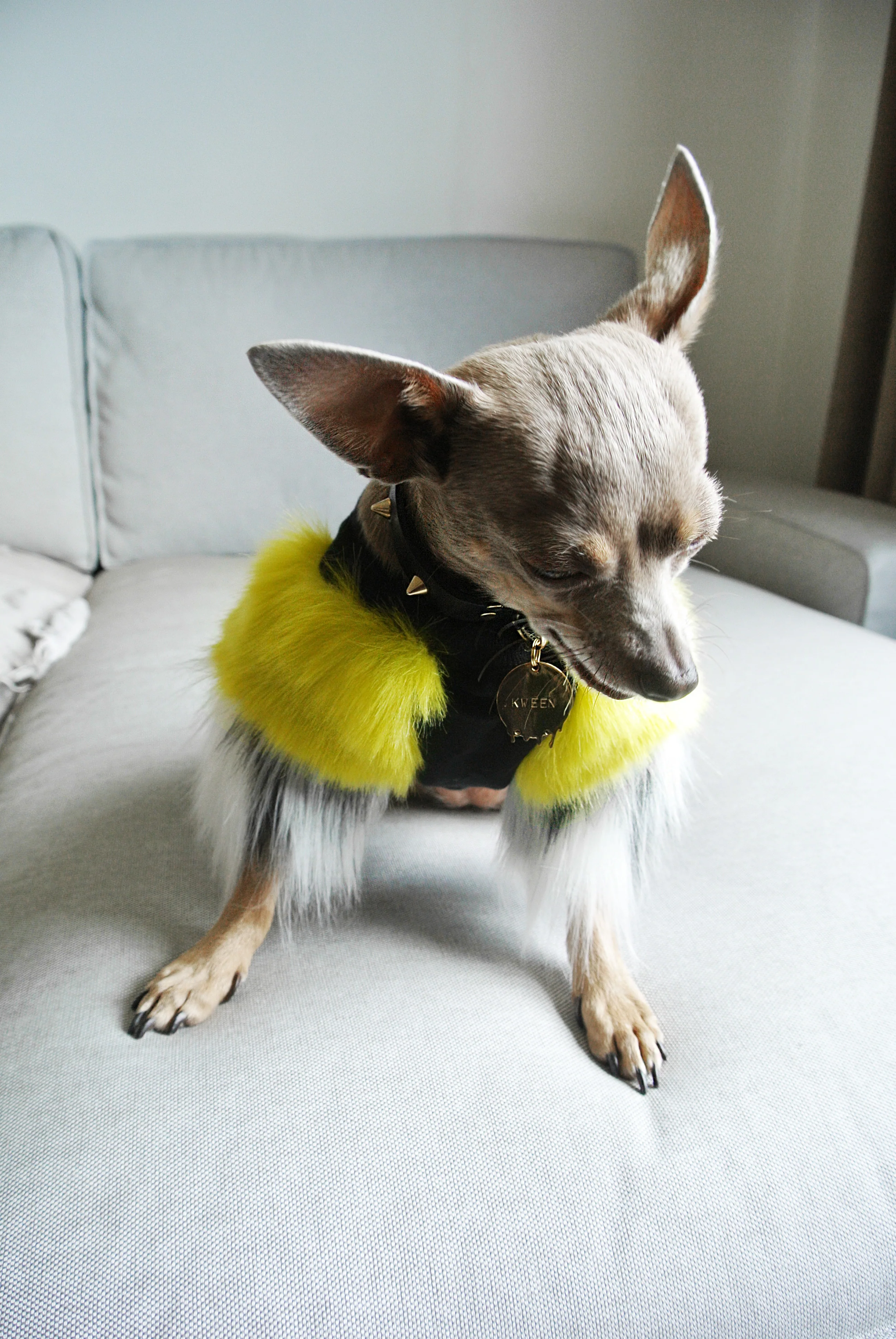 EYE OF DOG | Acid Lime Faux Fur Top - Image 3