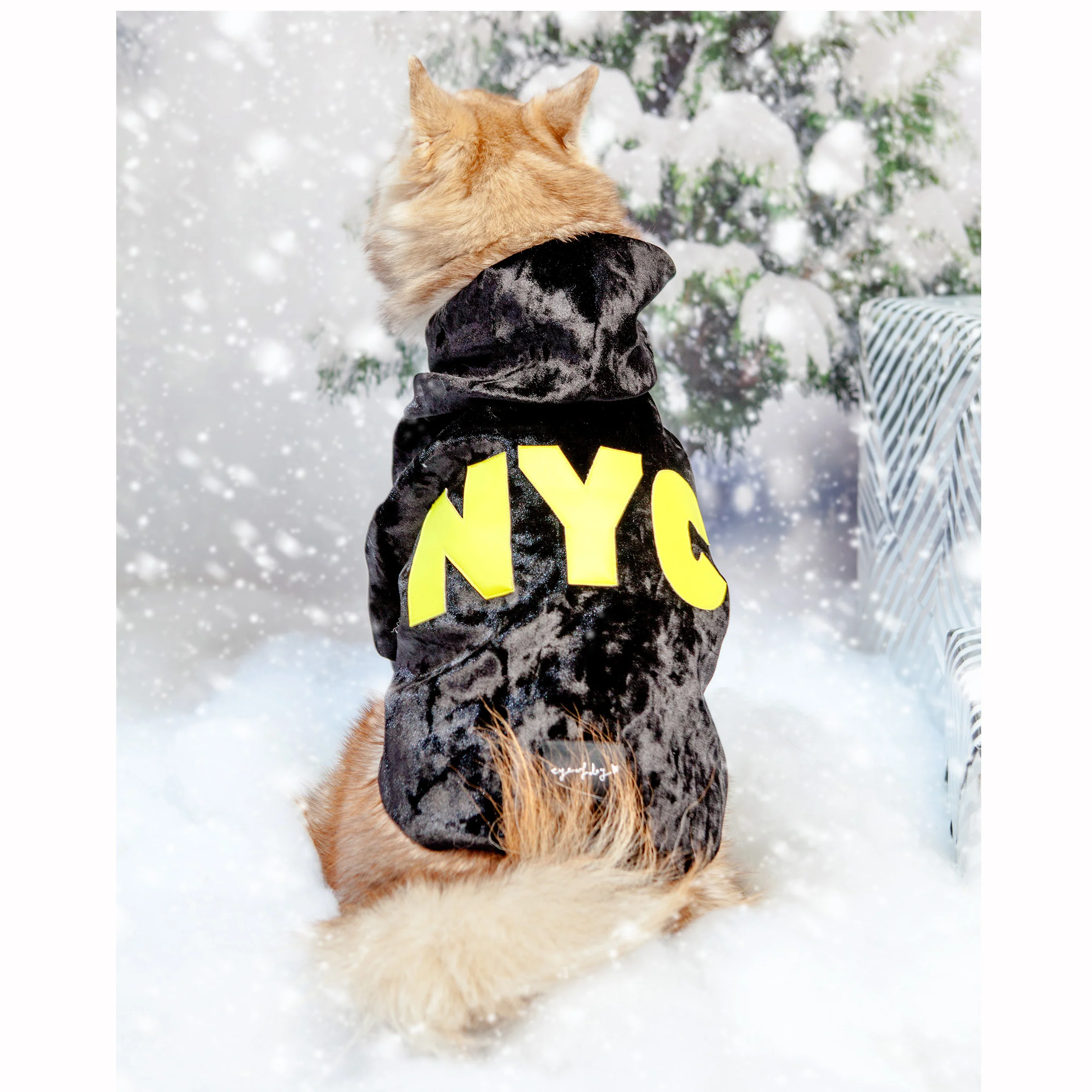 Black Velvet NYC Hoodie (DOG & CO. Exclusive) (FINAL SALE) (FINAL SALE) - Image 7