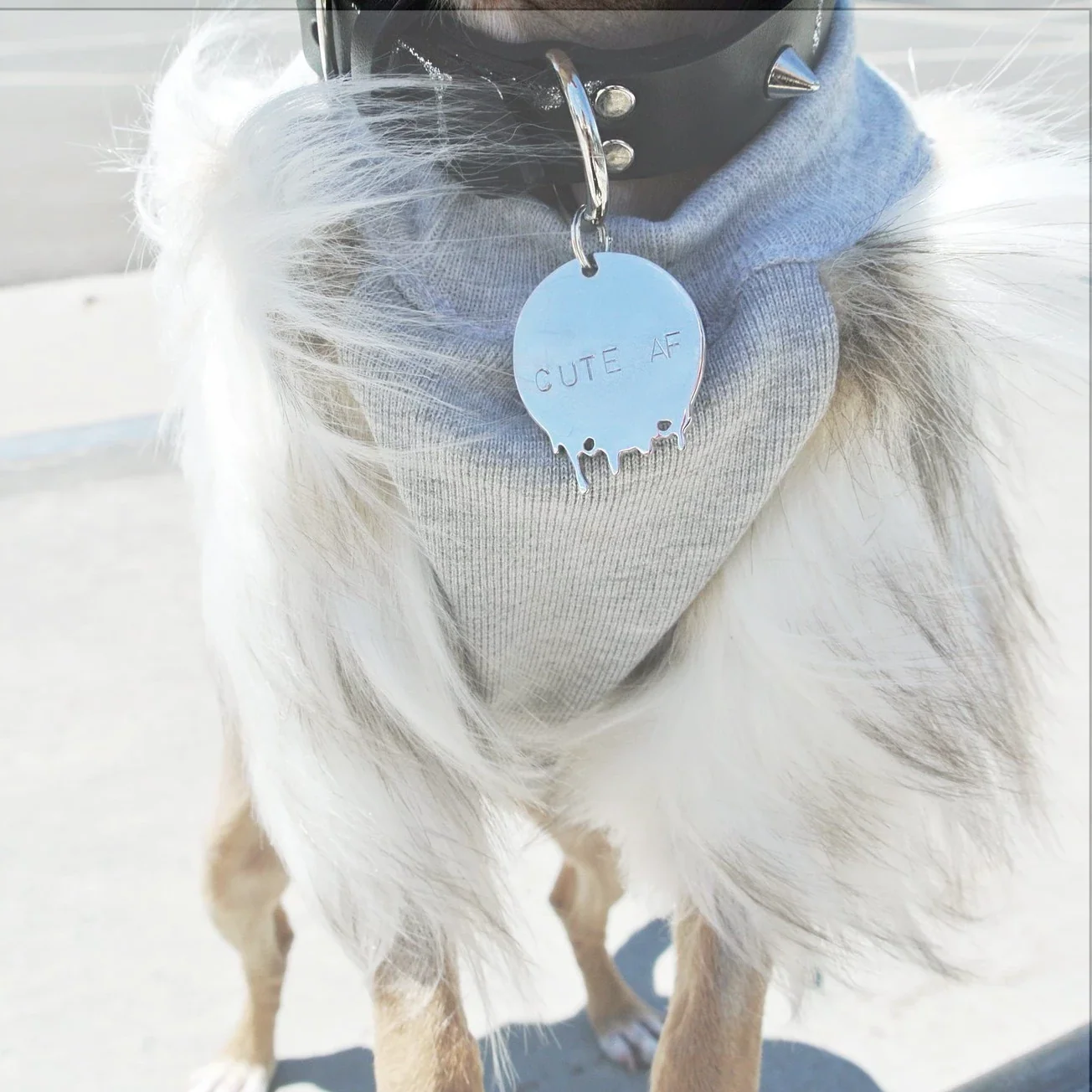 EYE OF DOG | Cute AF Tag (FINAL SALE) - Image 2