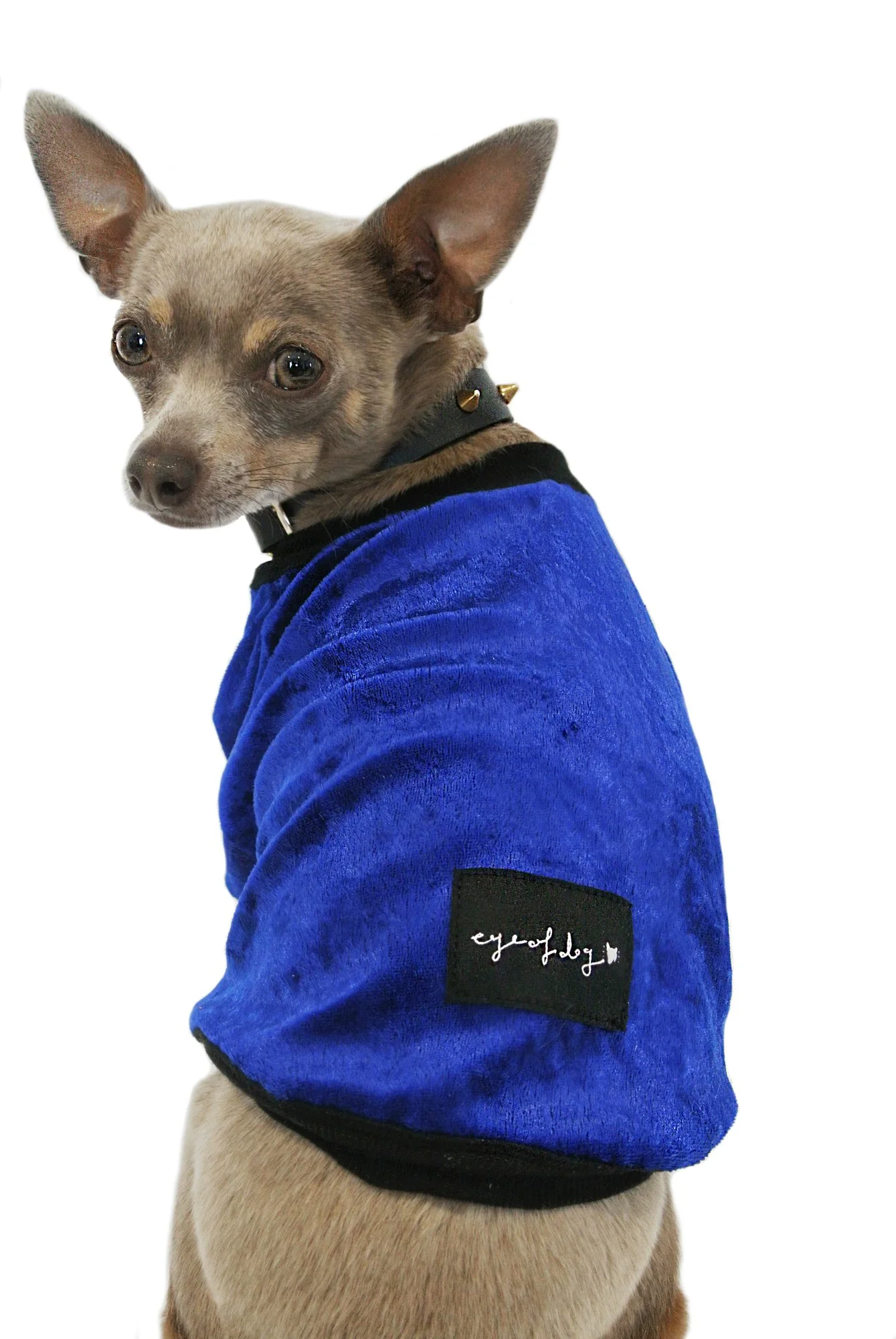 EYE OF DOG | Electric Blue Top - Image 2