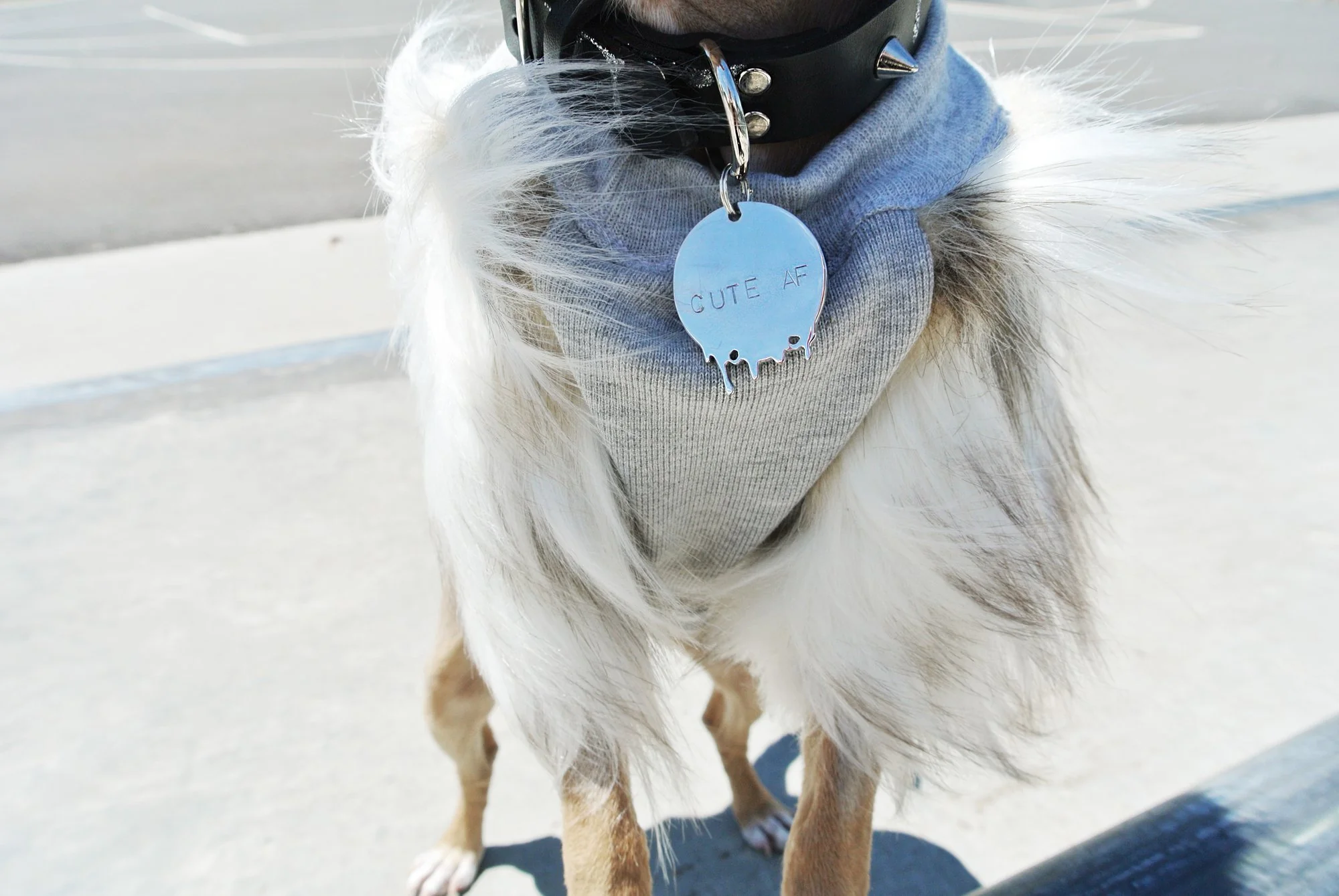 EYE OF DOG | Faux Fur Sweatshirt - Image 8