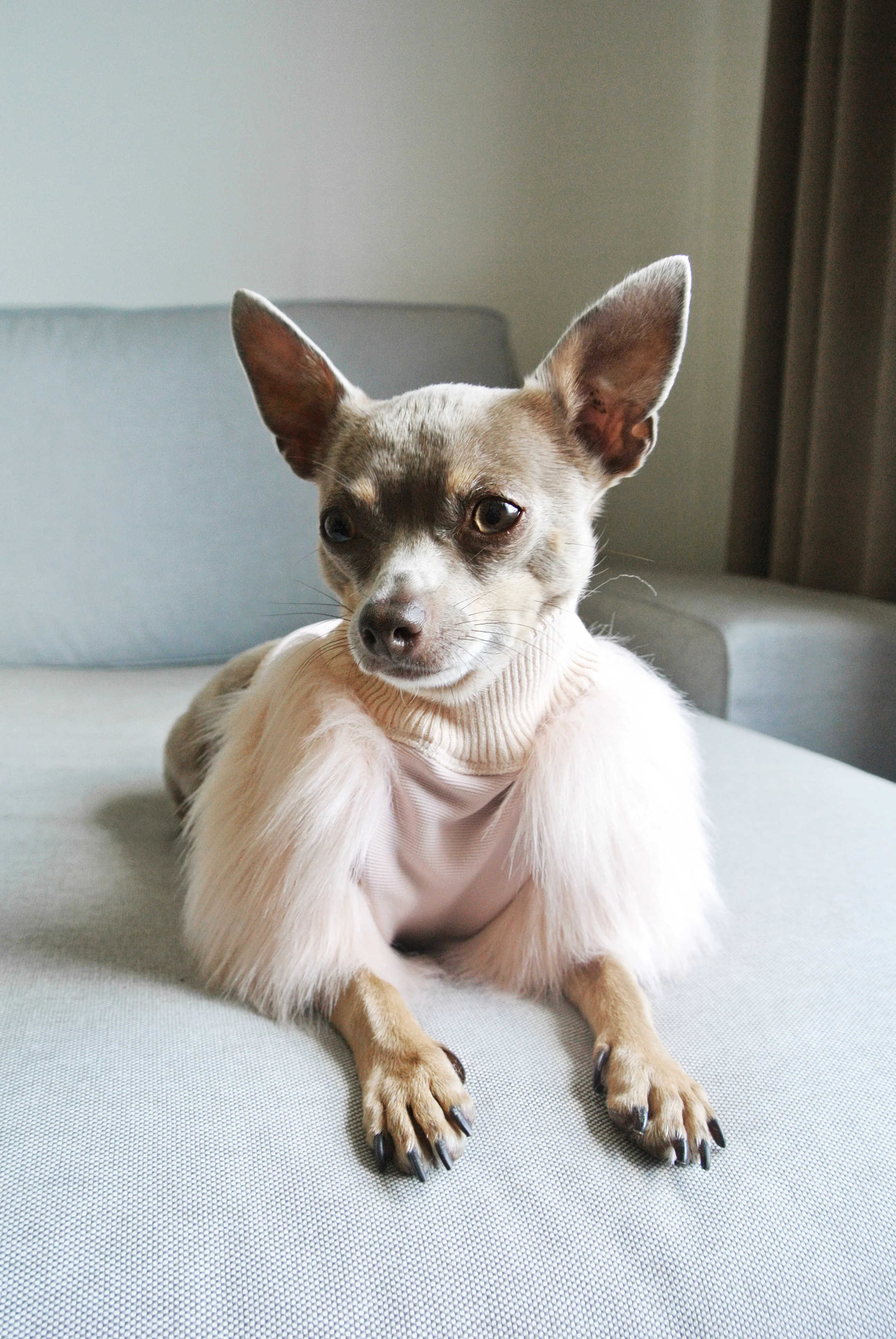 EYE OF DOG | Milk Faux Fur Top - Image 5