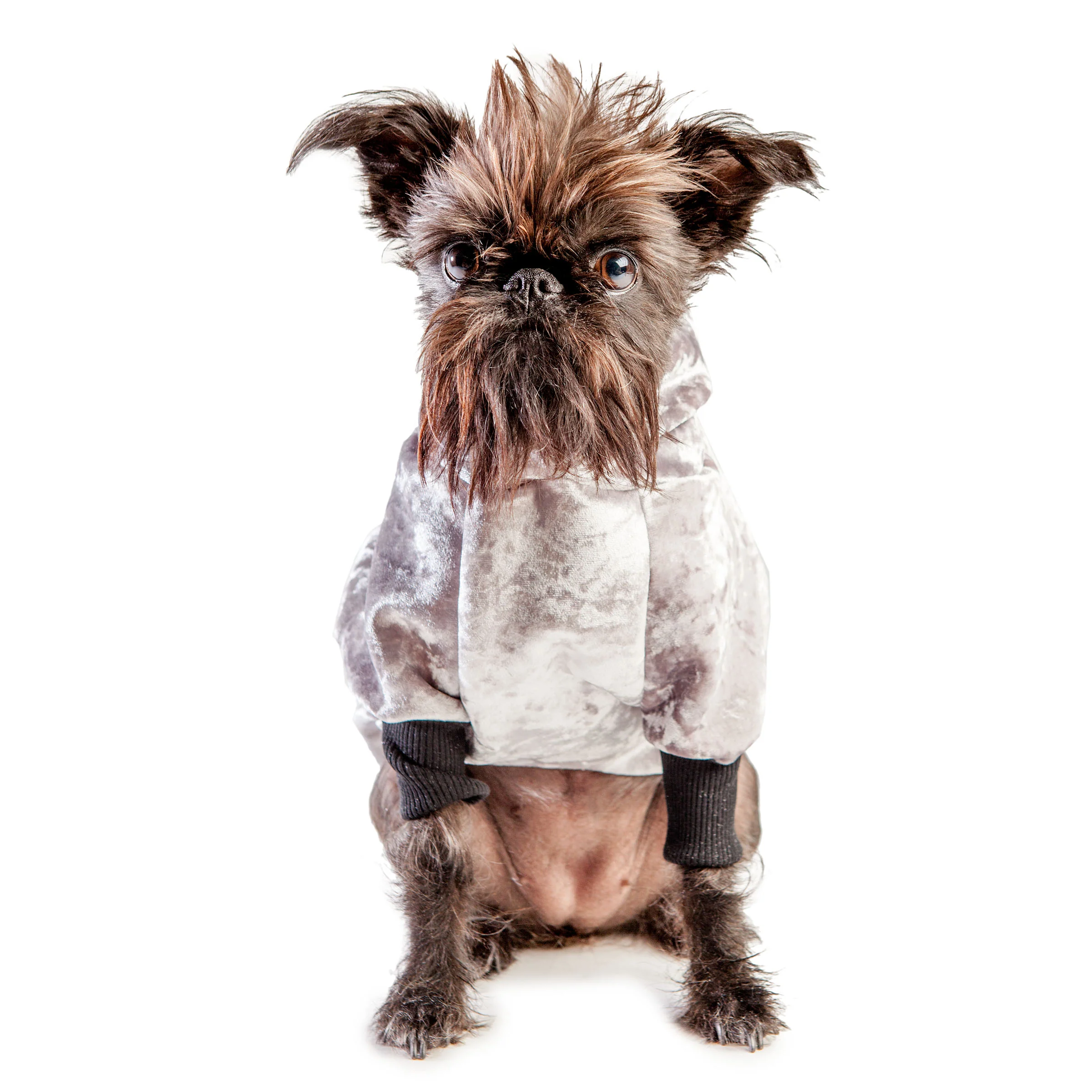 EYE OF DOG | NYC Hoodie in Silver Neoprene Velveteen (DOG & CO. Exclusive) - Image 2