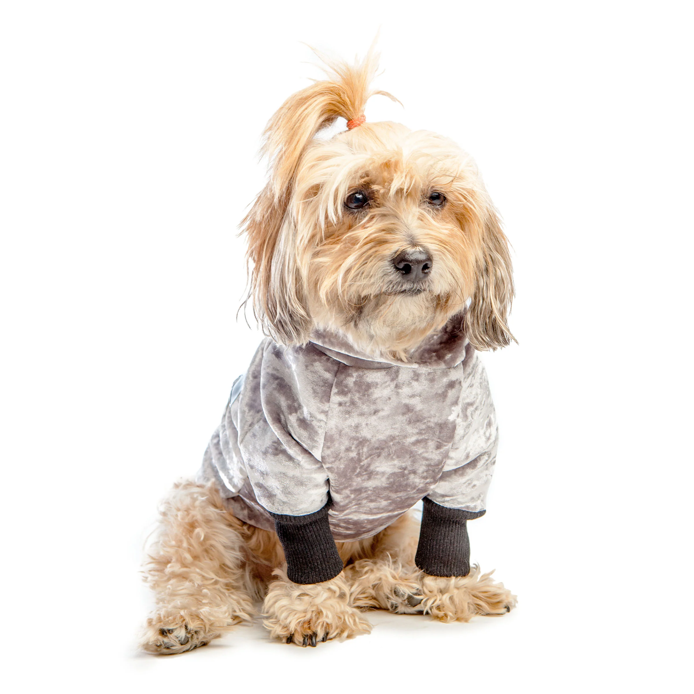 EYE OF DOG | NYC Hoodie in Silver Neoprene Velveteen (DOG & CO. Exclusive) - Image 6
