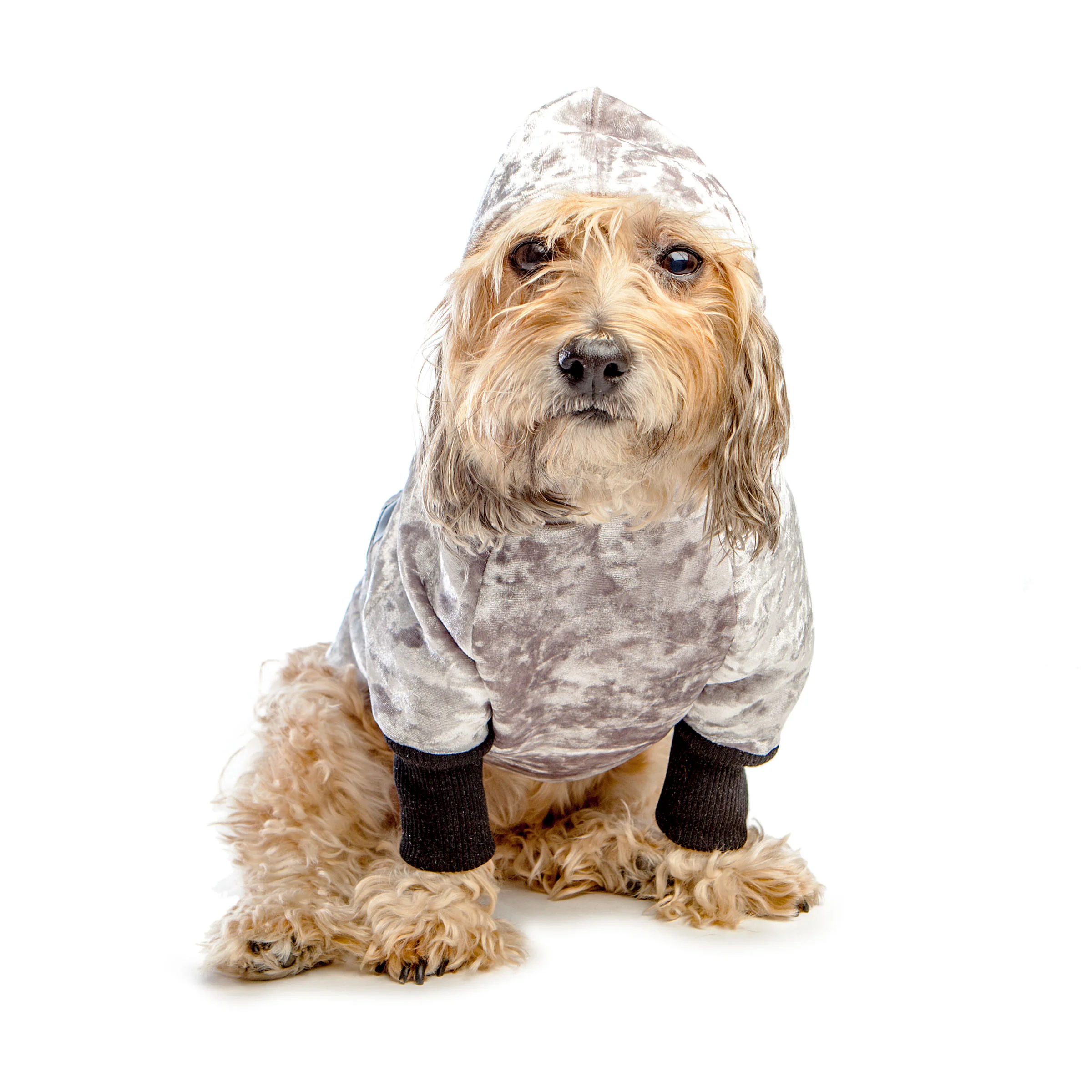 EYE OF DOG | NYC Hoodie in Silver Neoprene Velveteen (DOG & CO. Exclusive) - Image 7