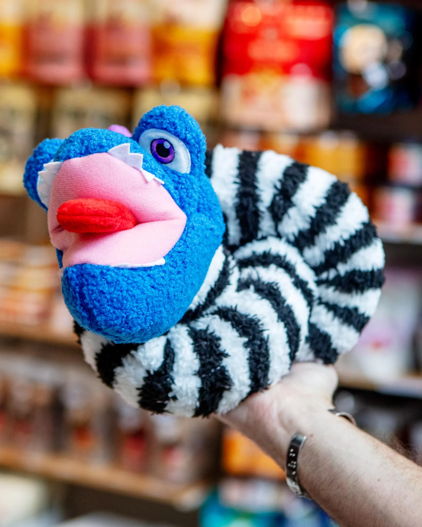 Eyesaur Crinkly Squeaky Dog Toy