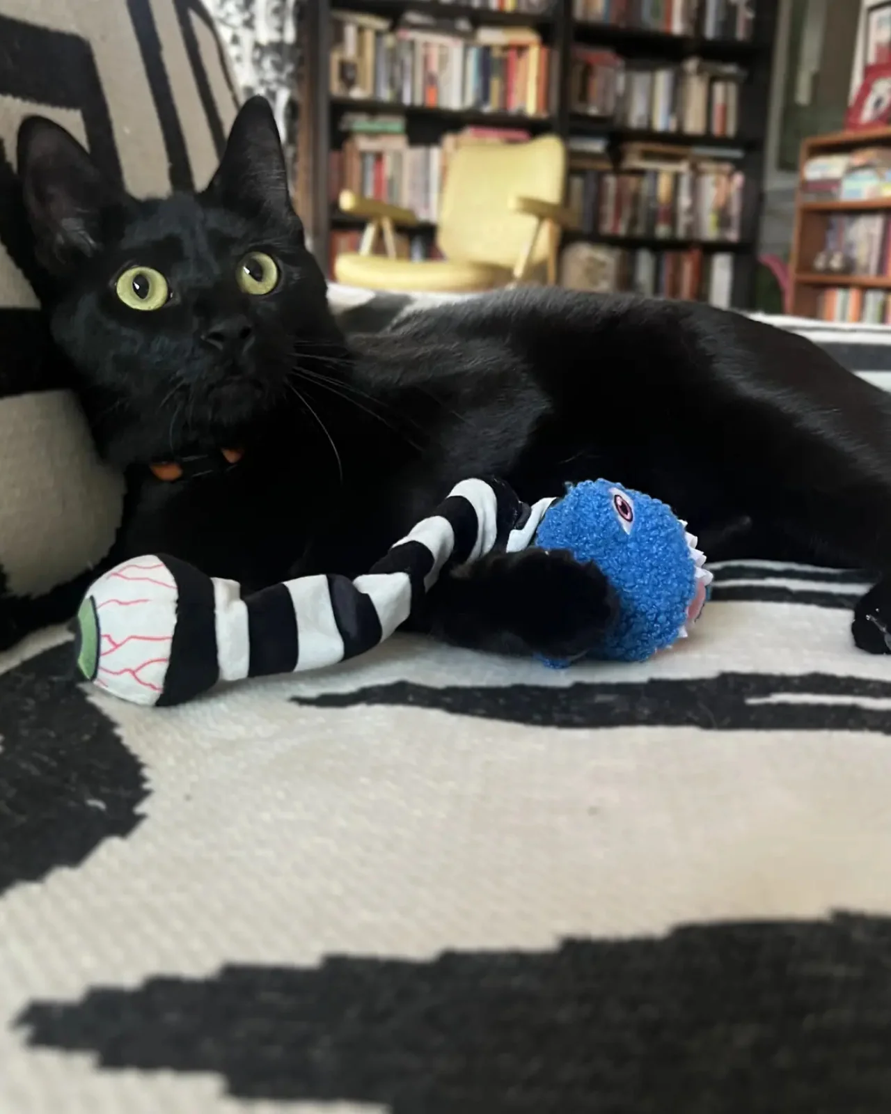 Eyesaur Jr. Crinkly Catnip Toy - Image 2