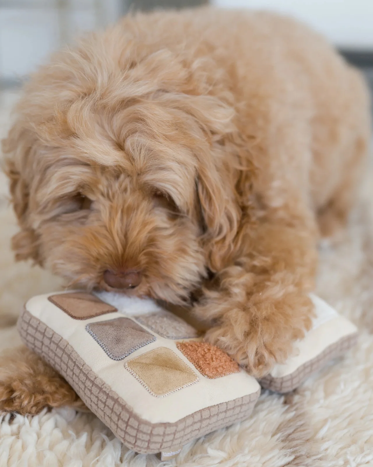 Eyeshadow Palette Dog Enrichment Snuffle Toy - Image 3