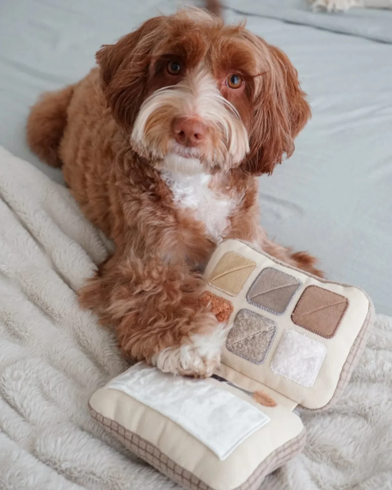 Eyeshadow Palette Dog Enrichment Snuffle Toy - Image 6