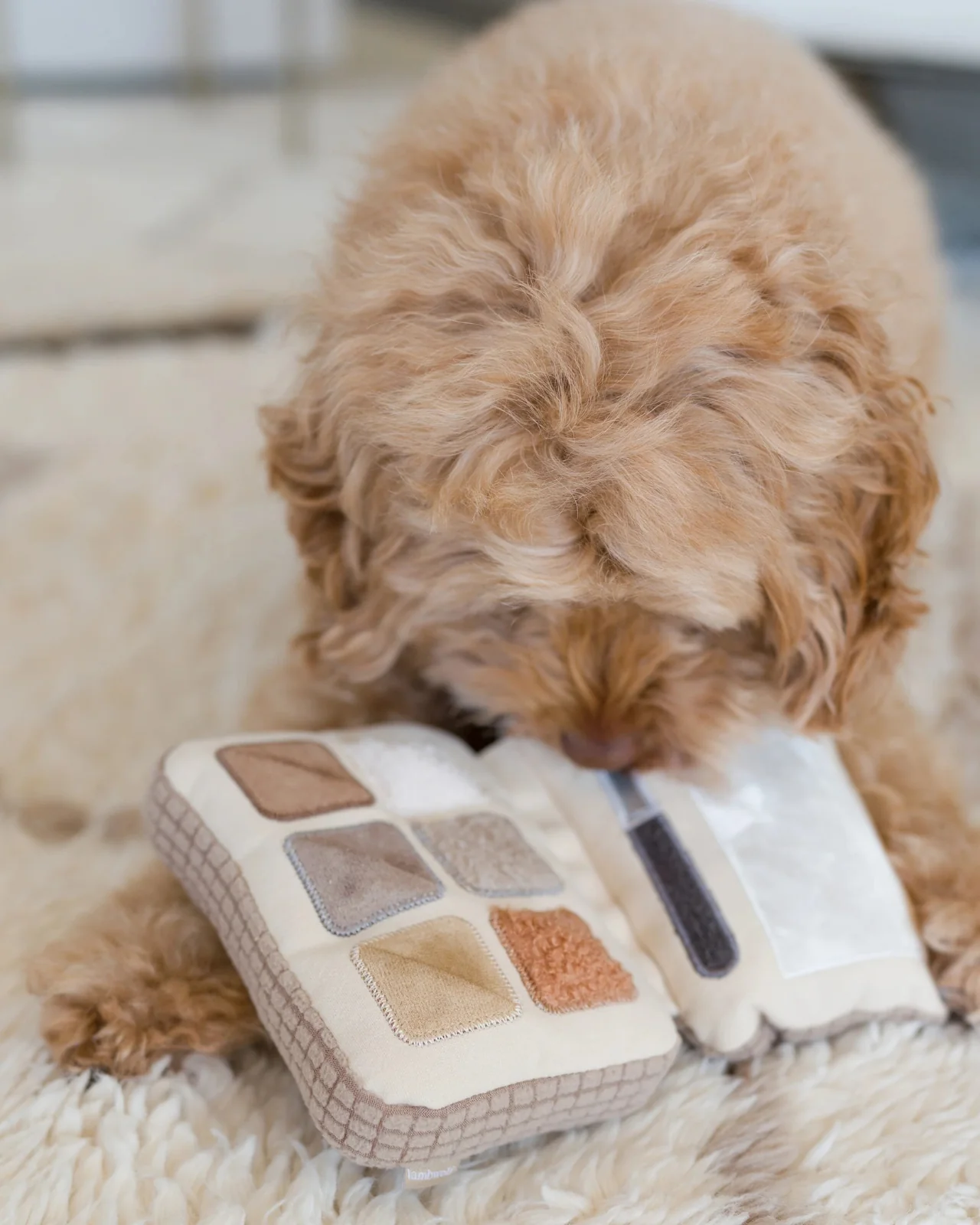 Eyeshadow Palette Dog Enrichment Snuffle Toy - Image 8