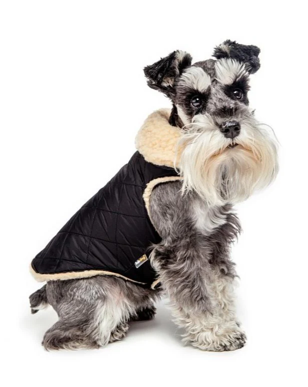 Black Quilted Faux Shearling Dog Coat (FINAL SALE) - Image 2