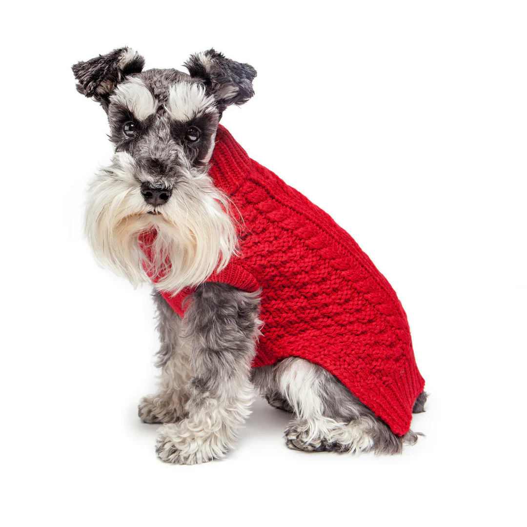 FAB DOG | Chunky Turtleneck Sweater in Red (BIG DOG SALE) - Image 2