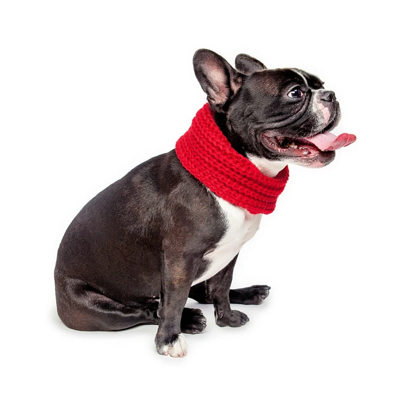 FAB DOG | Infinity Scarf in Red - Image 2