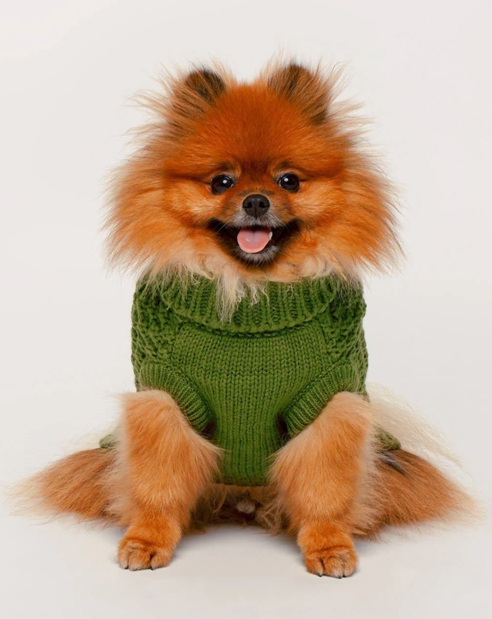 Super Chunky Dog Sweater in Olive (FINAL SALE) - Image 5