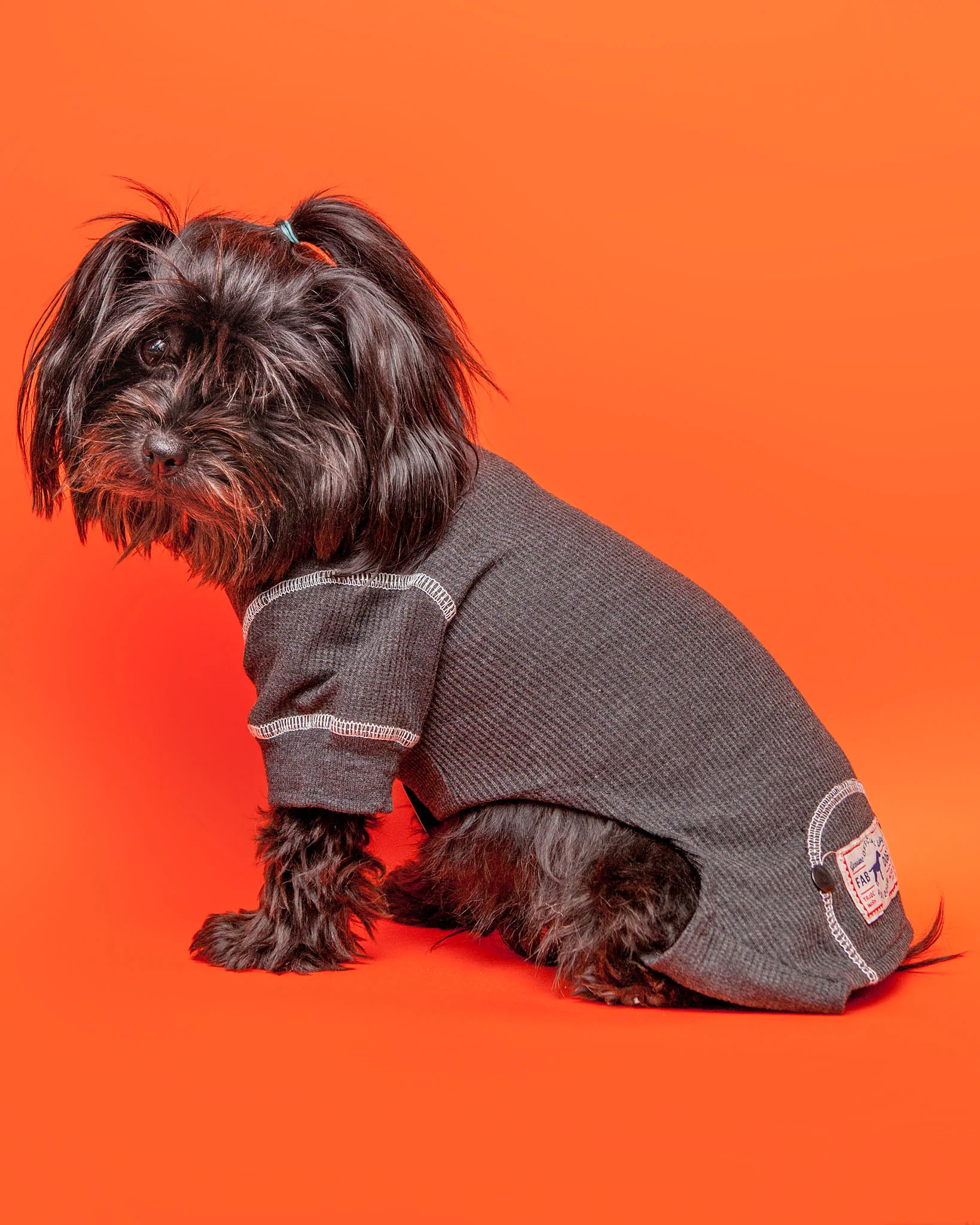 Thermal Dog PJs in Charcoal (FINAL SALE) - Image 3