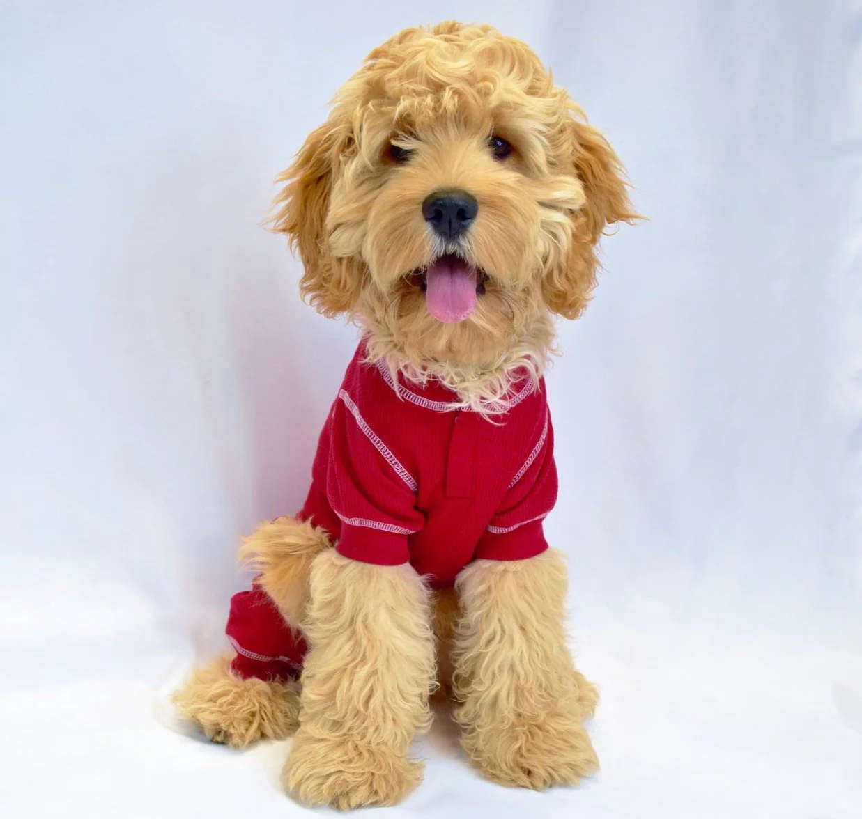 FAB DOG | Thermal PJs in Red - Image 3