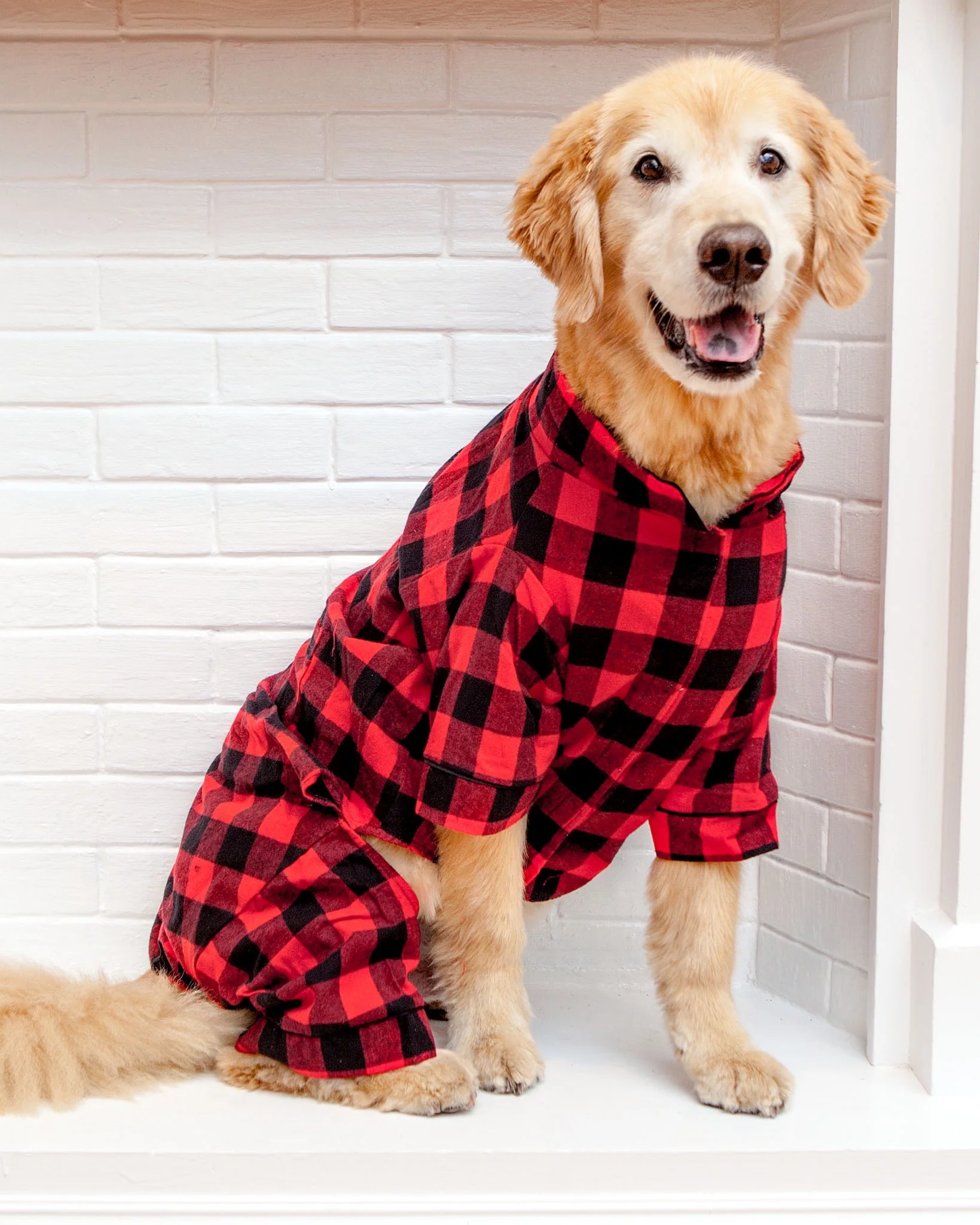 Buffalo Check Flannel Dog PJ's (FINAL SALE)