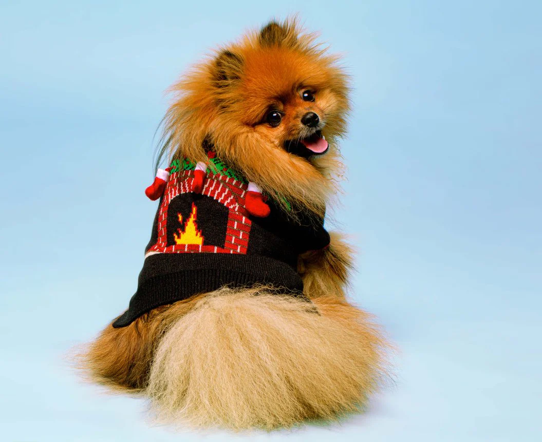 FABDOG | Ugly Fireplace Sweater - Image 2