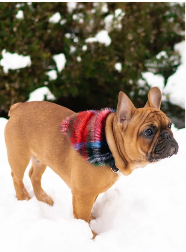 Furry Dog Bandana in Red Plaid (FINAL SALE) - Image 4