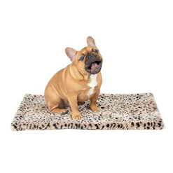 FABULOUS FURS | Pampered Pet Throw in Cheetah