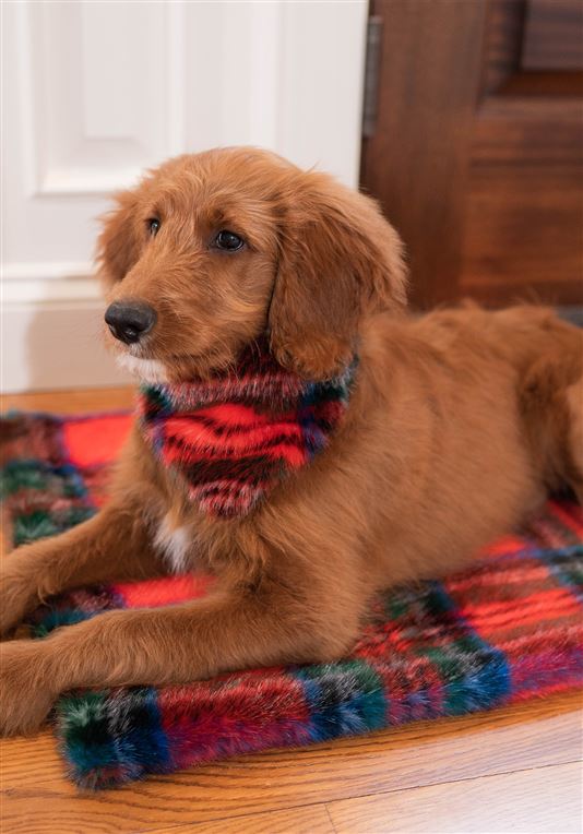 FABULOUS FURS | Pampered Pet Throw in Red Plaid - Image 3