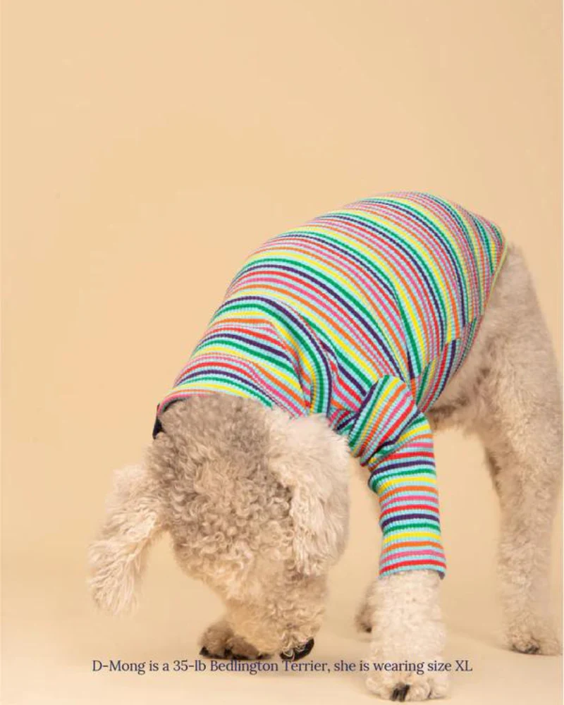 Fabulous Ribbed Dog Pullover - Image 10
