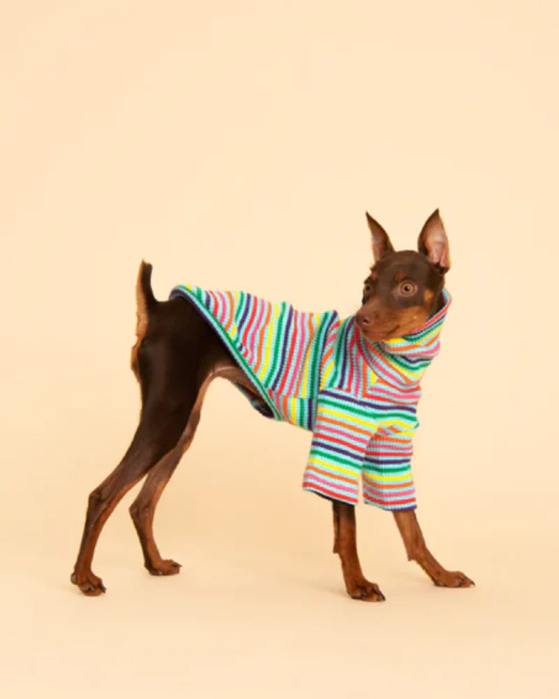 Fabulous Ribbed Dog Pullover - Image 3