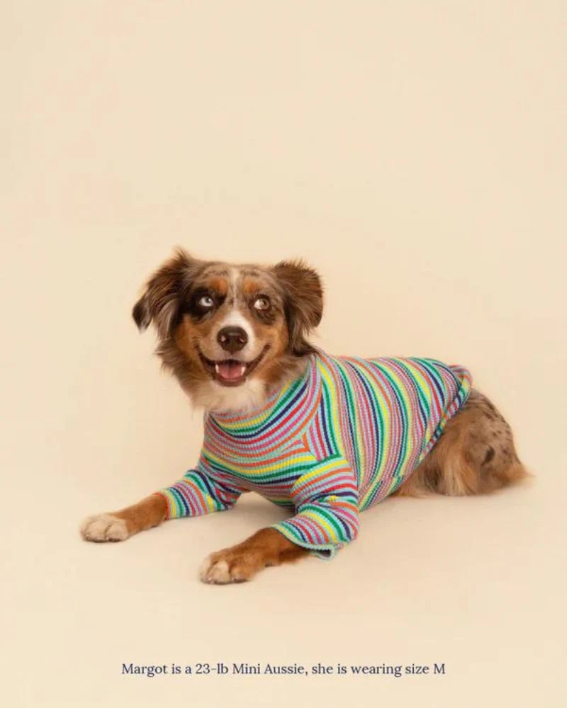 Fabulous Ribbed Dog Pullover - Image 5