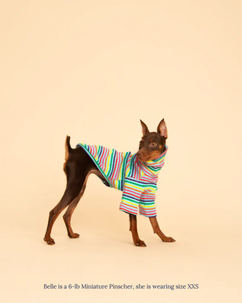Fabulous Ribbed Dog Pullover - Image 6