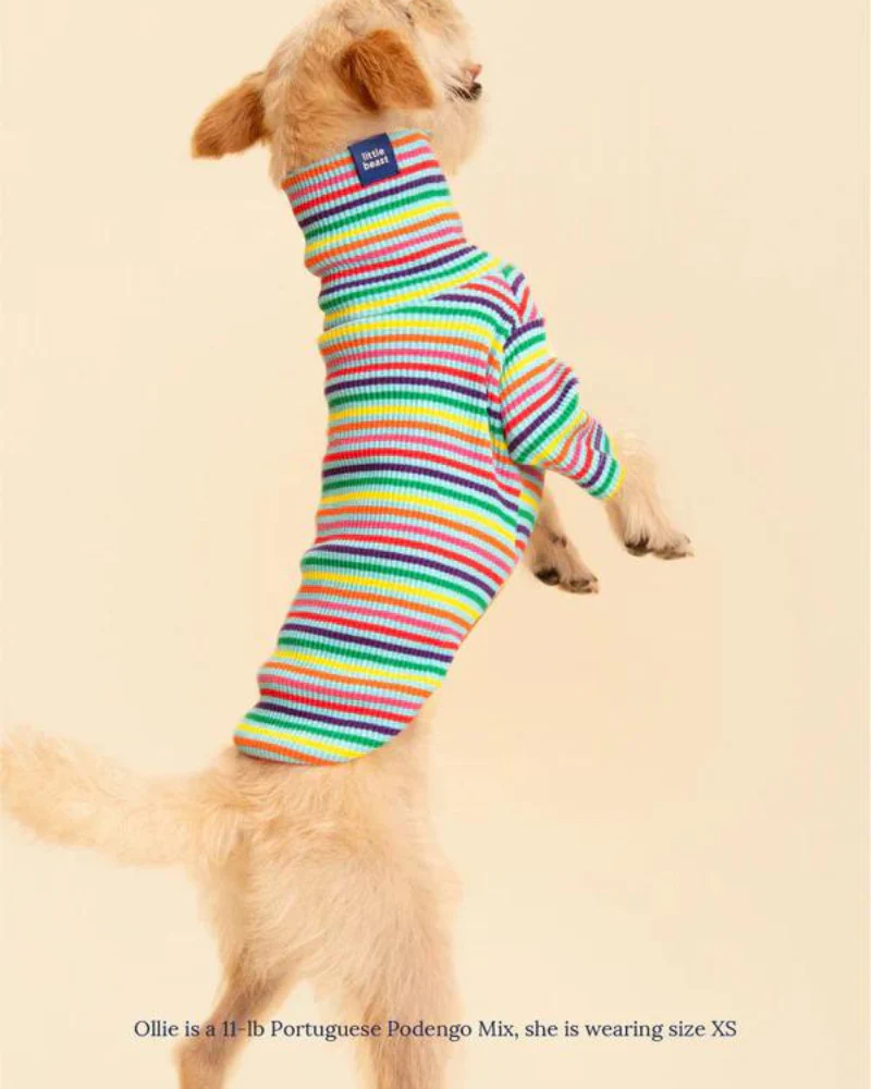 Fabulous Ribbed Dog Pullover - Image 7
