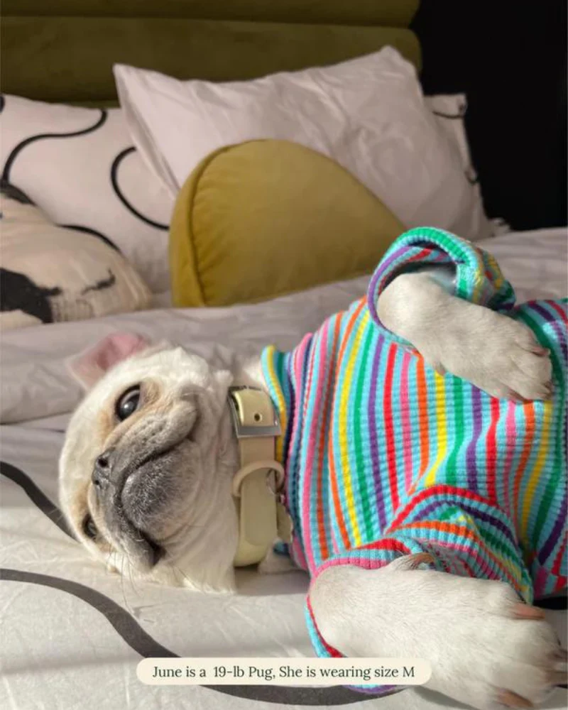 Fabulous Ribbed Dog Pullover - Image 8