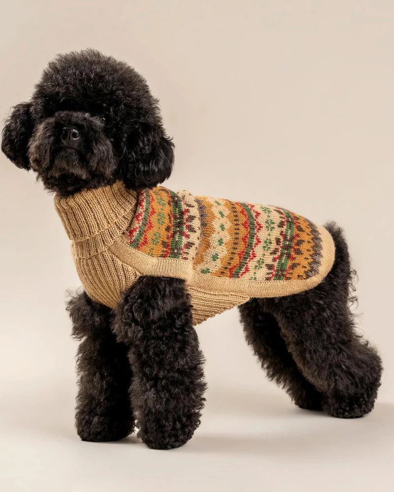 Fair Isle Finn Alpaca Dog Sweater (FINAL SALE) - Image 2