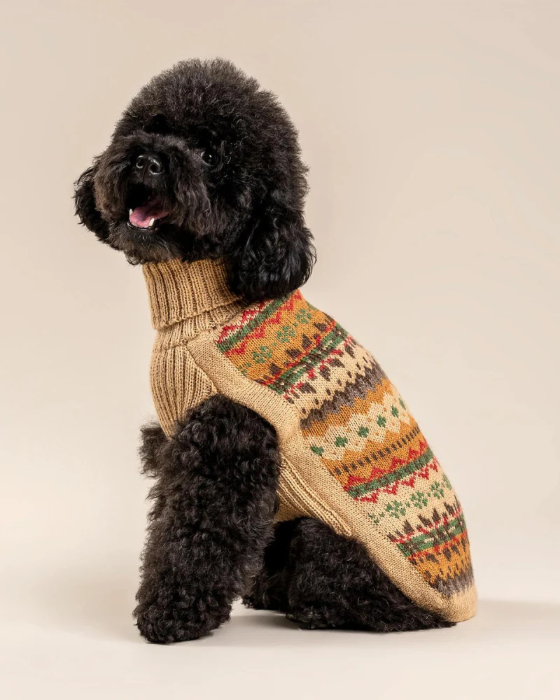 Fair Isle Finn Alpaca Dog Sweater (FINAL SALE) - Image 4