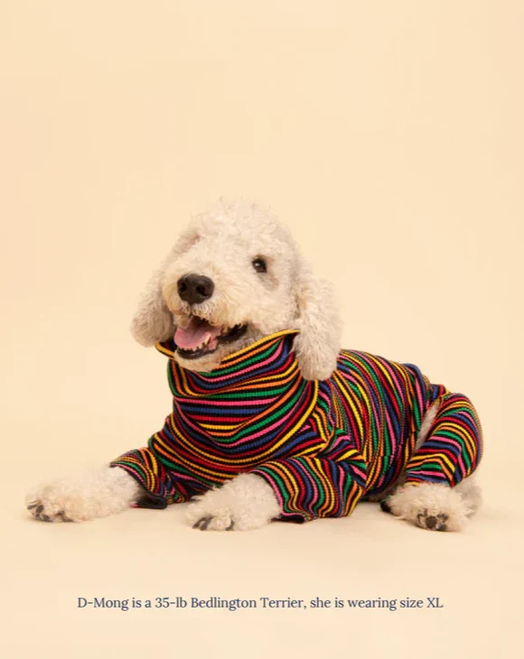 Fantastic Ribbed Dog Onesie - Image 2