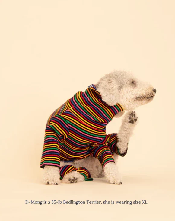 Fantastic Ribbed Dog Onesie - Image 3