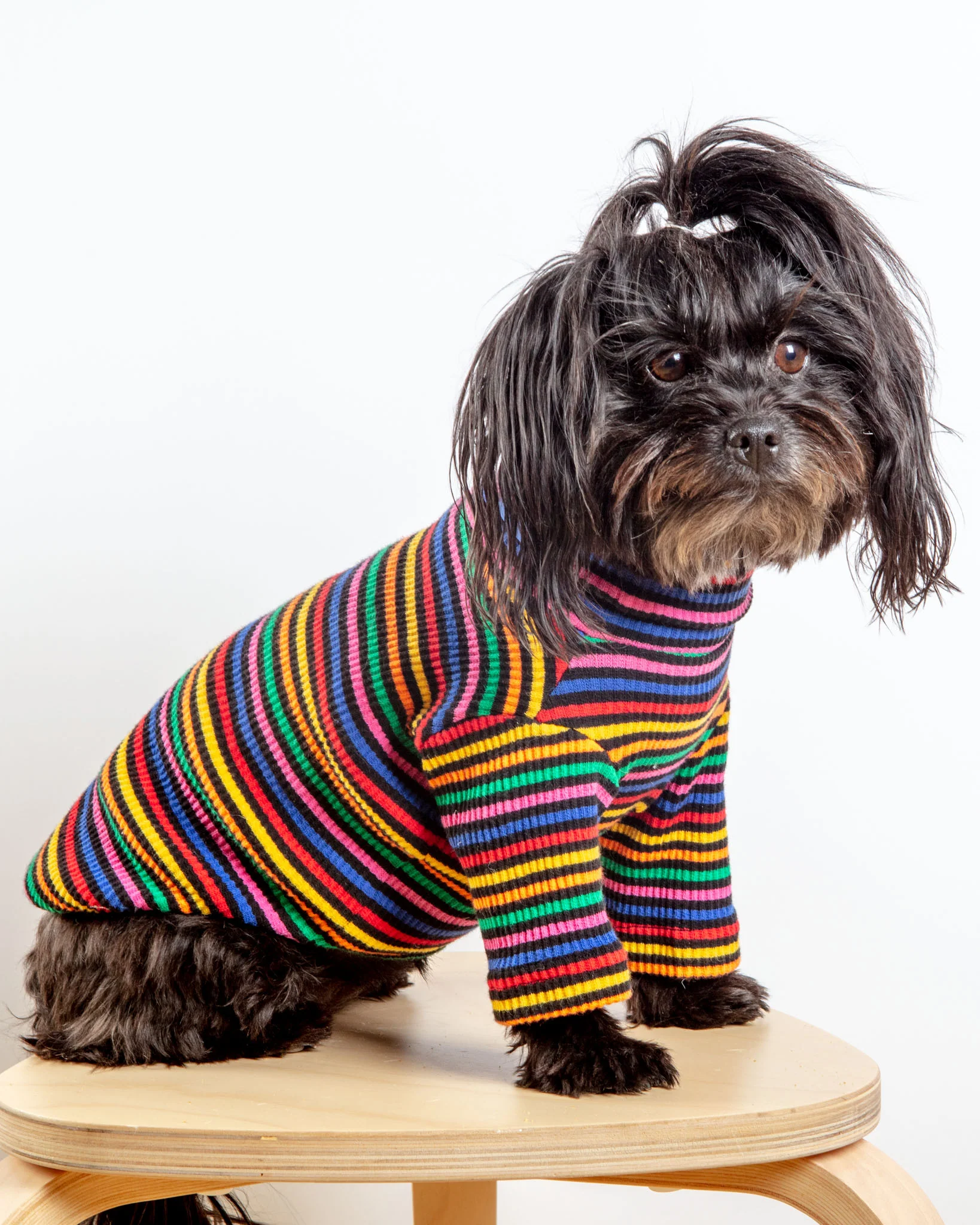 Fantastic Ribbed Dog Pullover (FINAL SALE) - Image 2