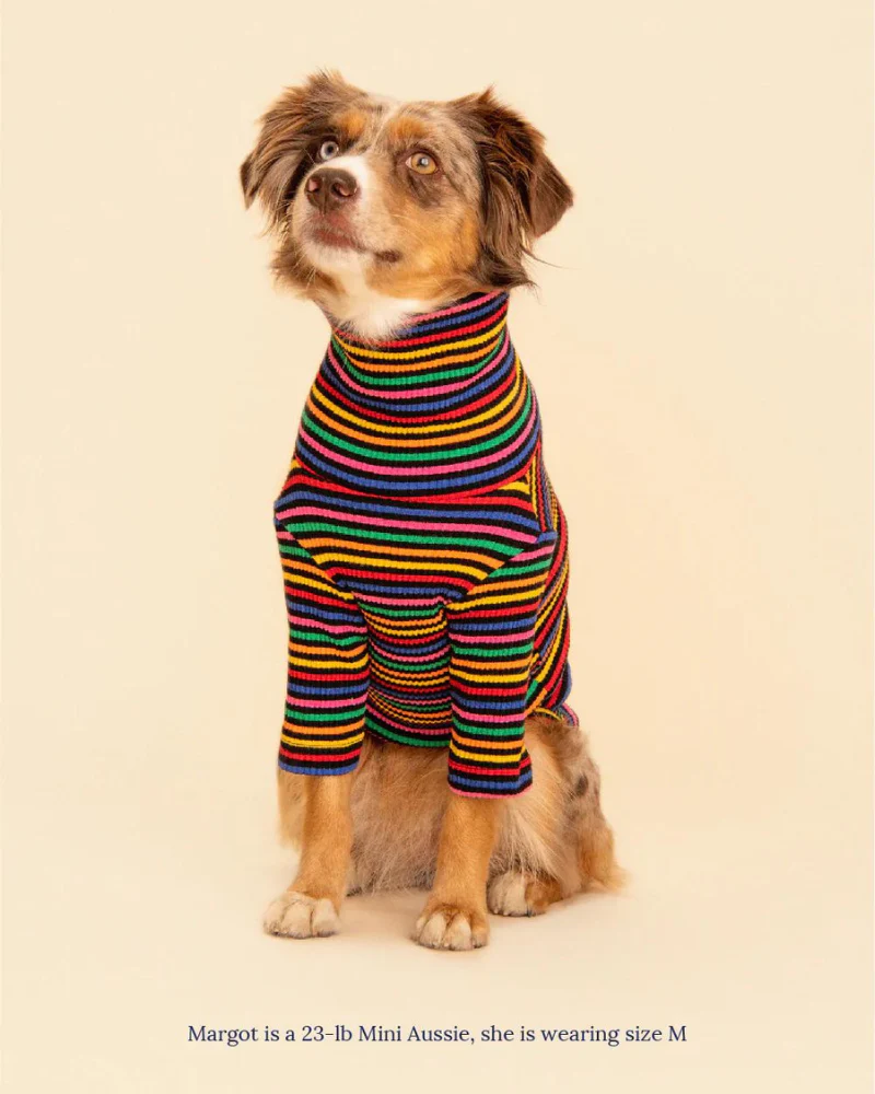 Fantastic Ribbed Dog Pullover (FINAL SALE) - Image 3