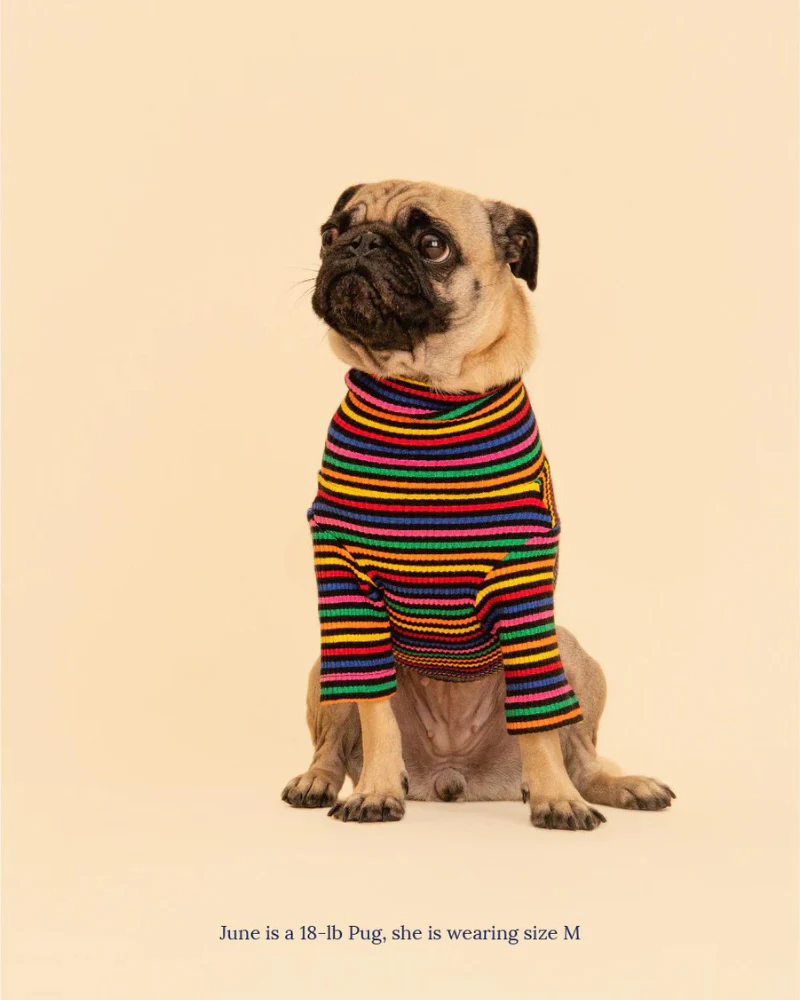 Fantastic Ribbed Dog Pullover (FINAL SALE) - Image 6