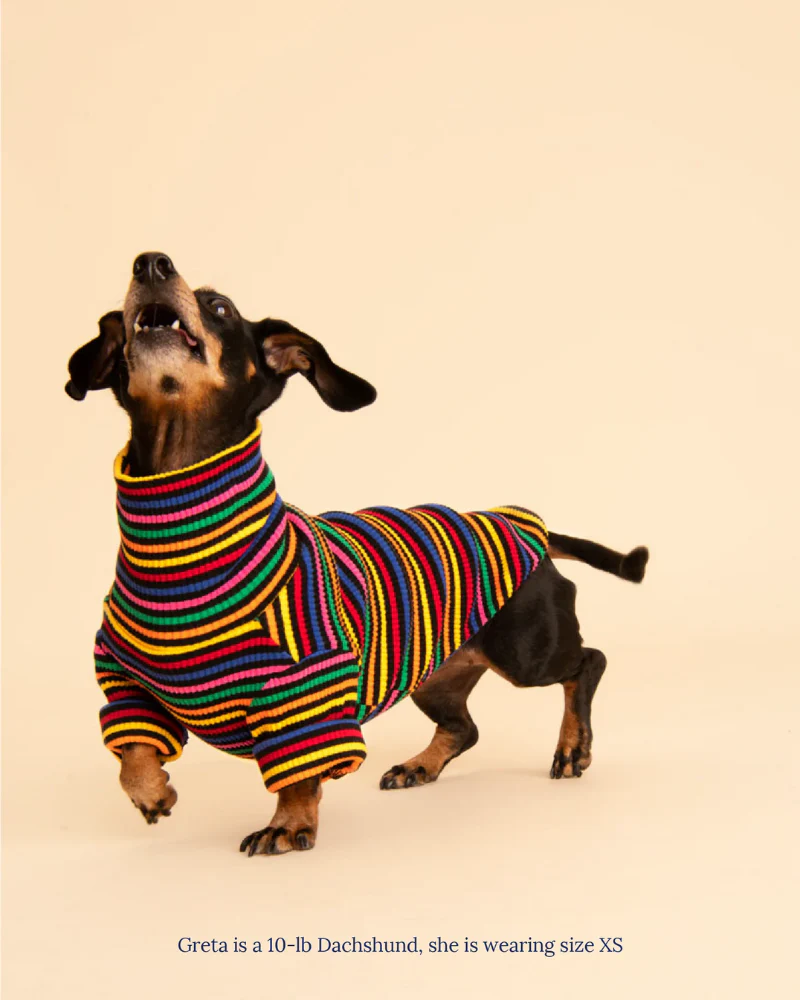Fantastic Ribbed Dog Pullover (FINAL SALE) - Image 7