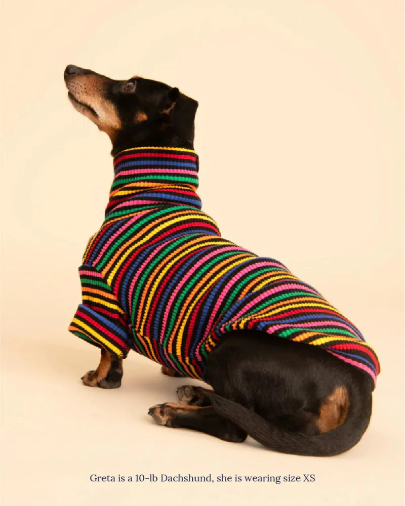 Fantastic Ribbed Dog Pullover (FINAL SALE) - Image 8