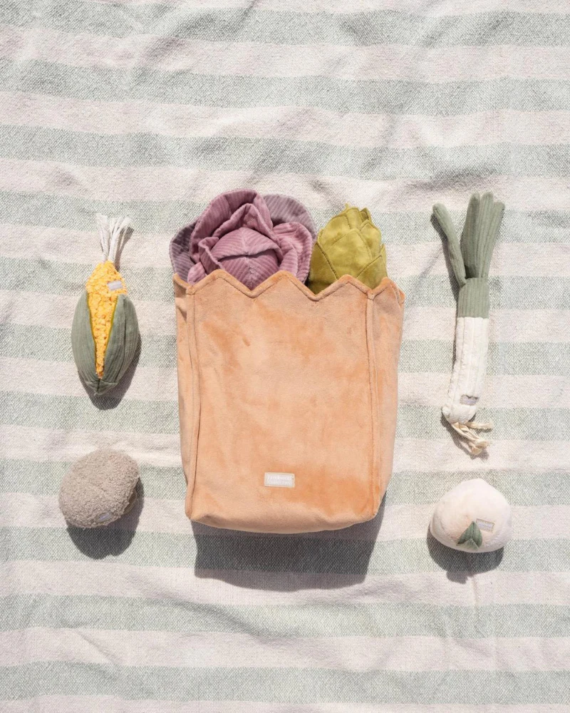 Farmer's Market Enrichment Toy Set