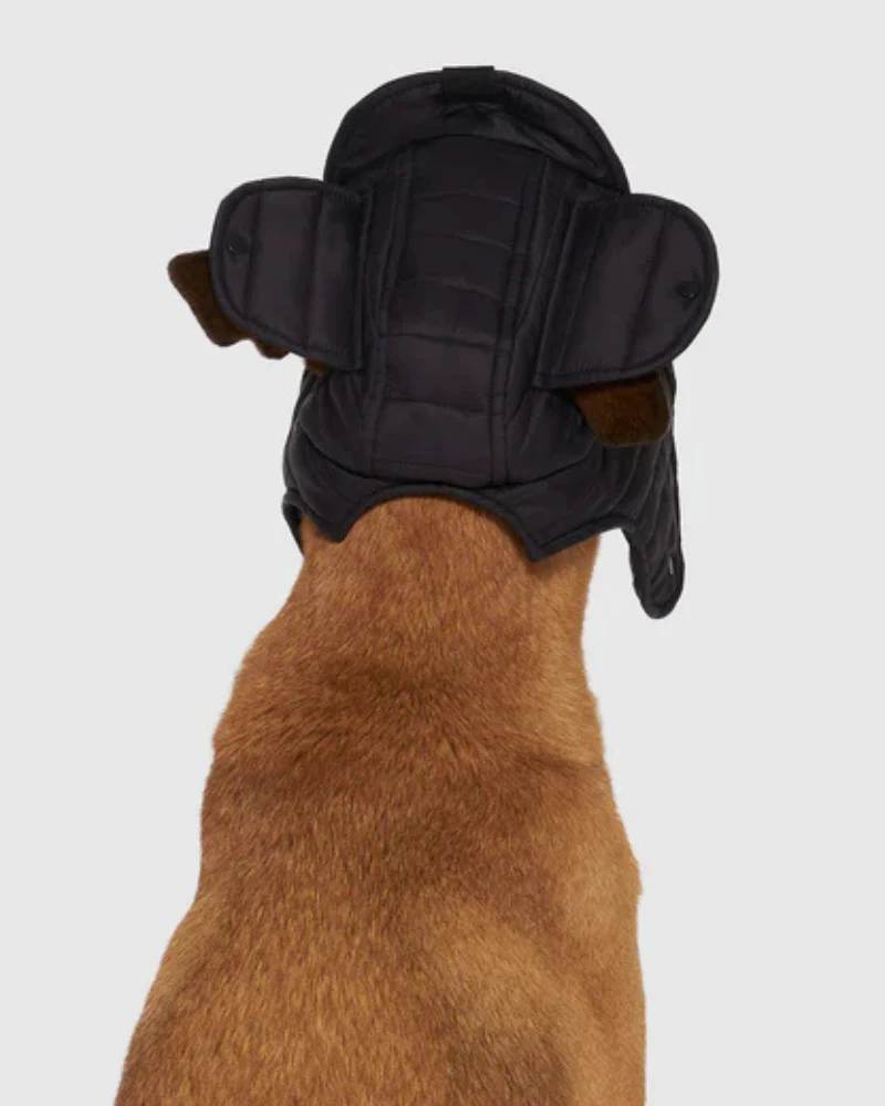 Faux-Down Dog Puffer Hat (FINAL SALE) - Image 3