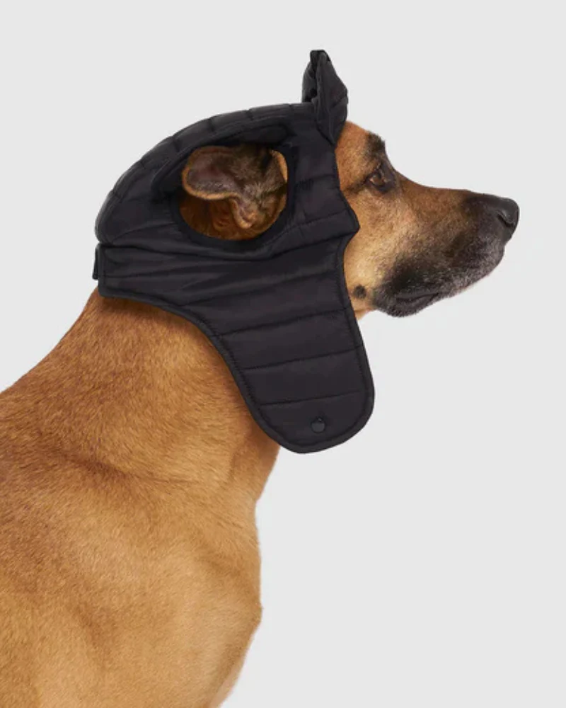 Faux-Down Dog Puffer Hat (FINAL SALE) - Image 5
