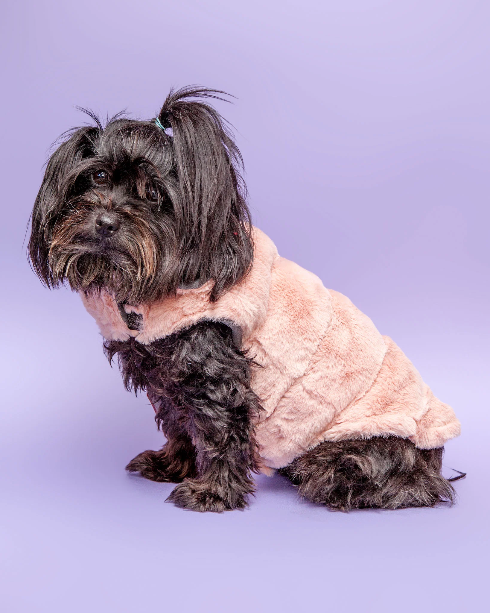 Faux Fur Coat in Blush - Image 3