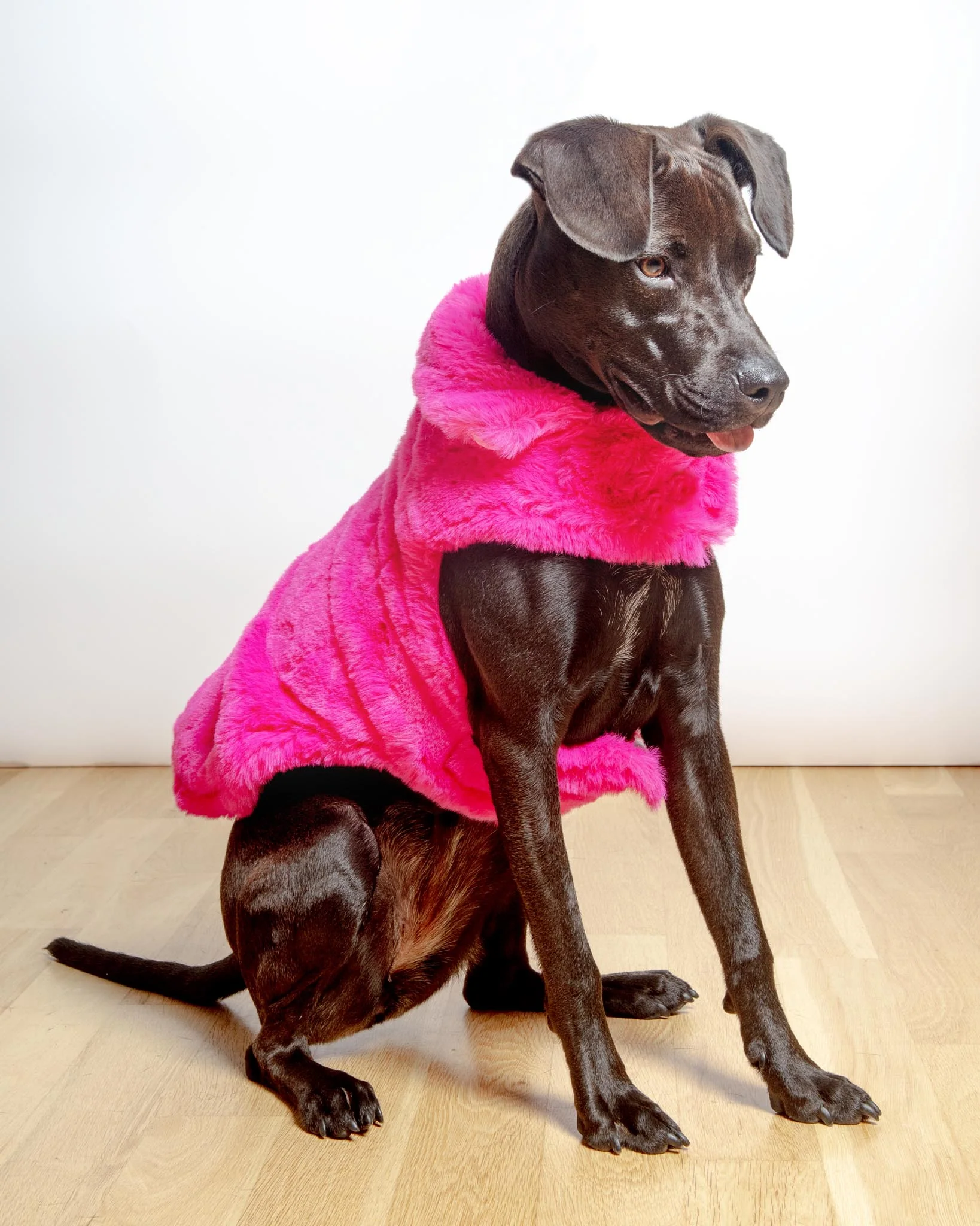 Faux Fur Dog Coat in Neon Pink (FINAL SALE) - Image 2