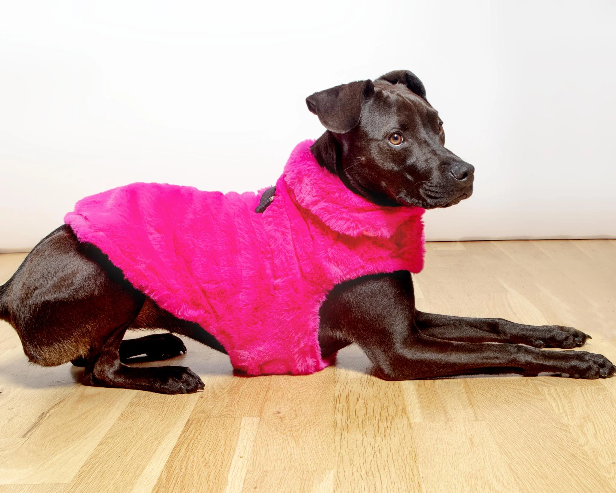 Faux Fur Dog Coat in Neon Pink (FINAL SALE) - Image 6